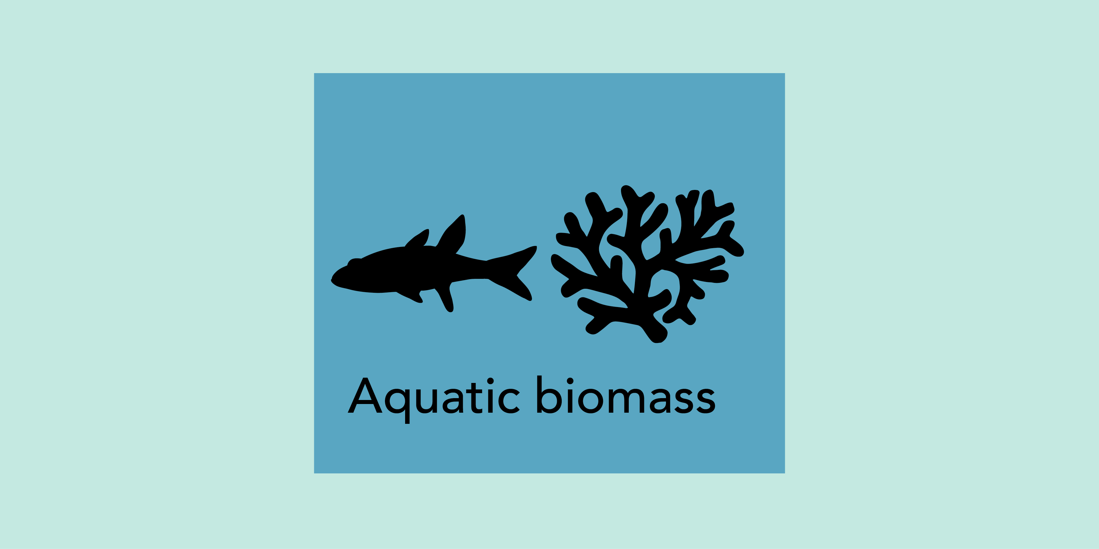 Symbolbild Aquatische Biomasse